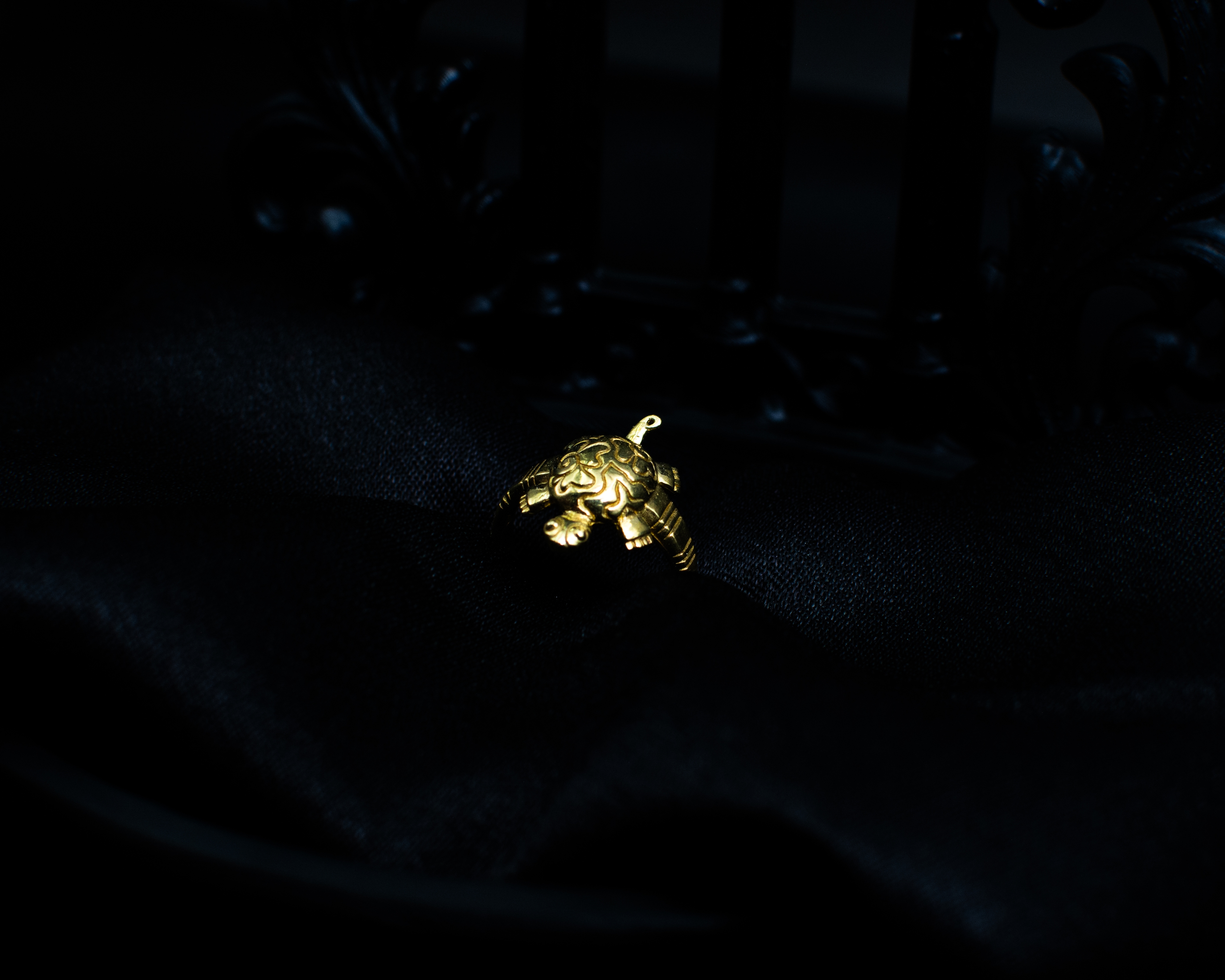 Turtle Ring P side view on black display
