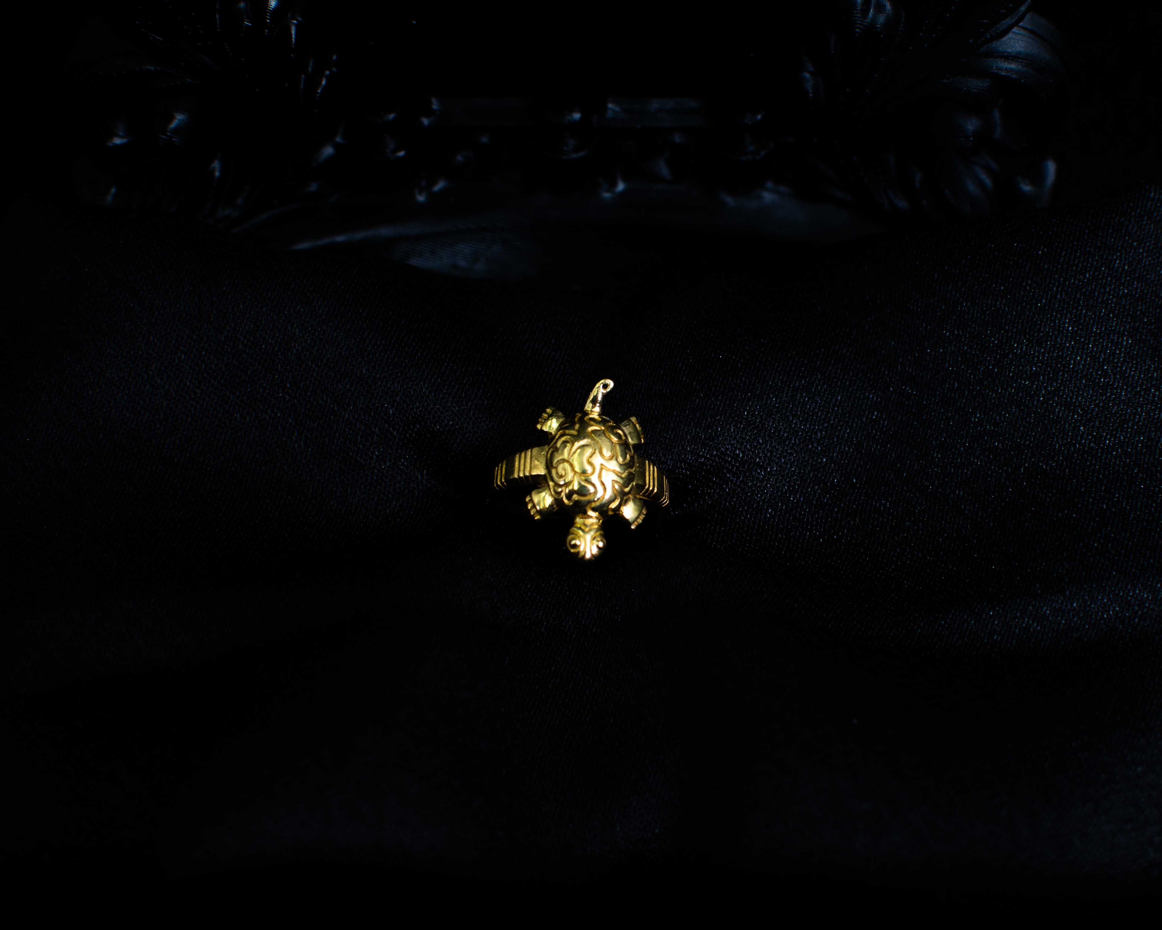 Turtle Ring P front view on black display