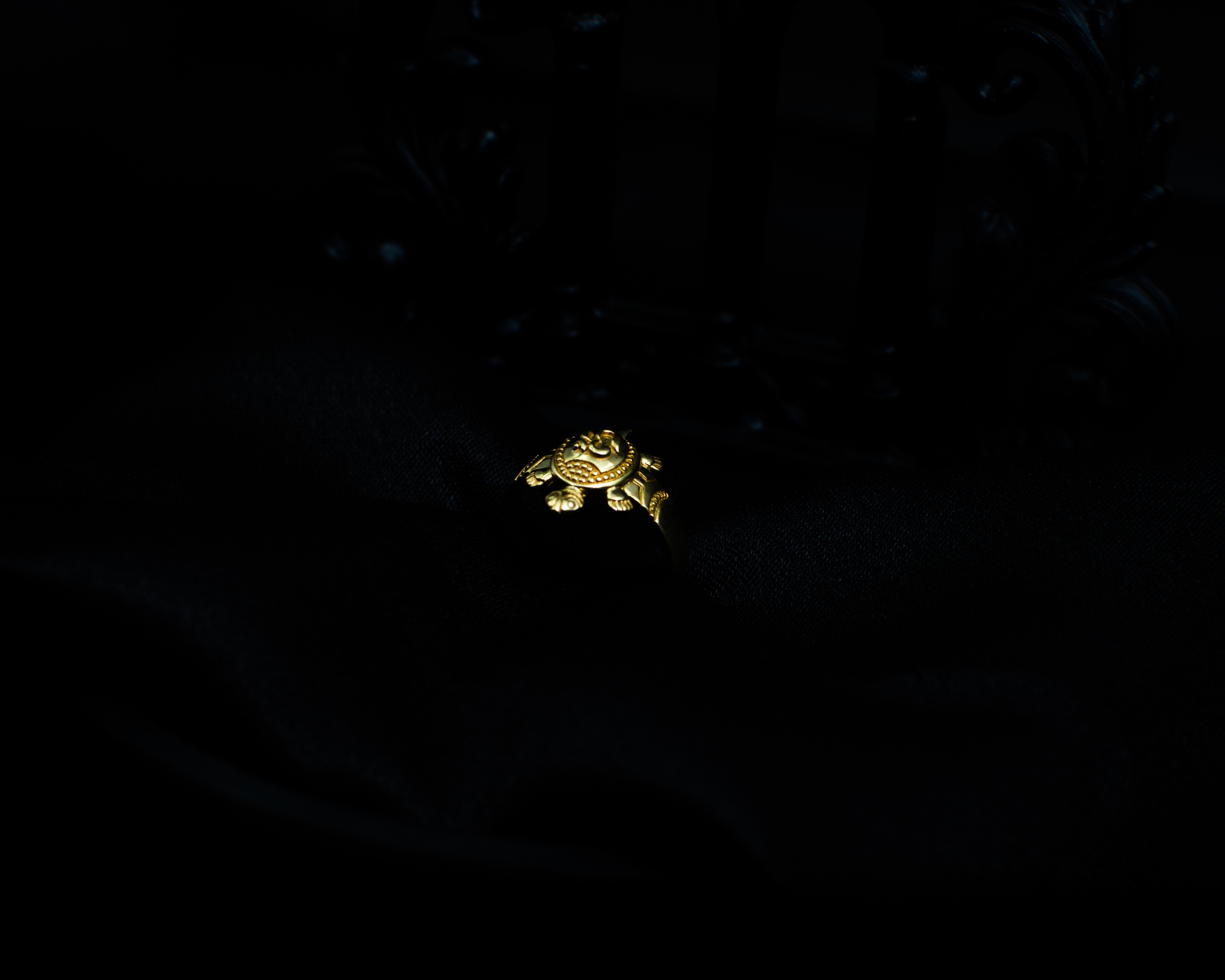 Turtle Ring P 1 shell detail on black display