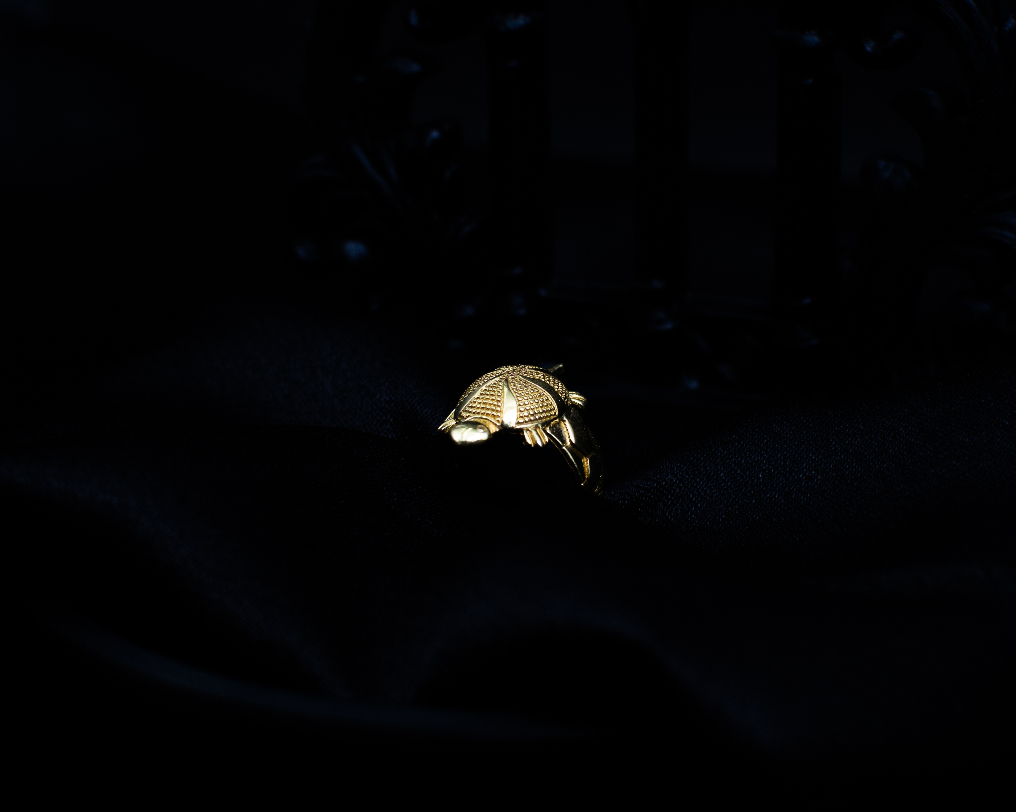 Turtle Ring P 2 shell detail on black display