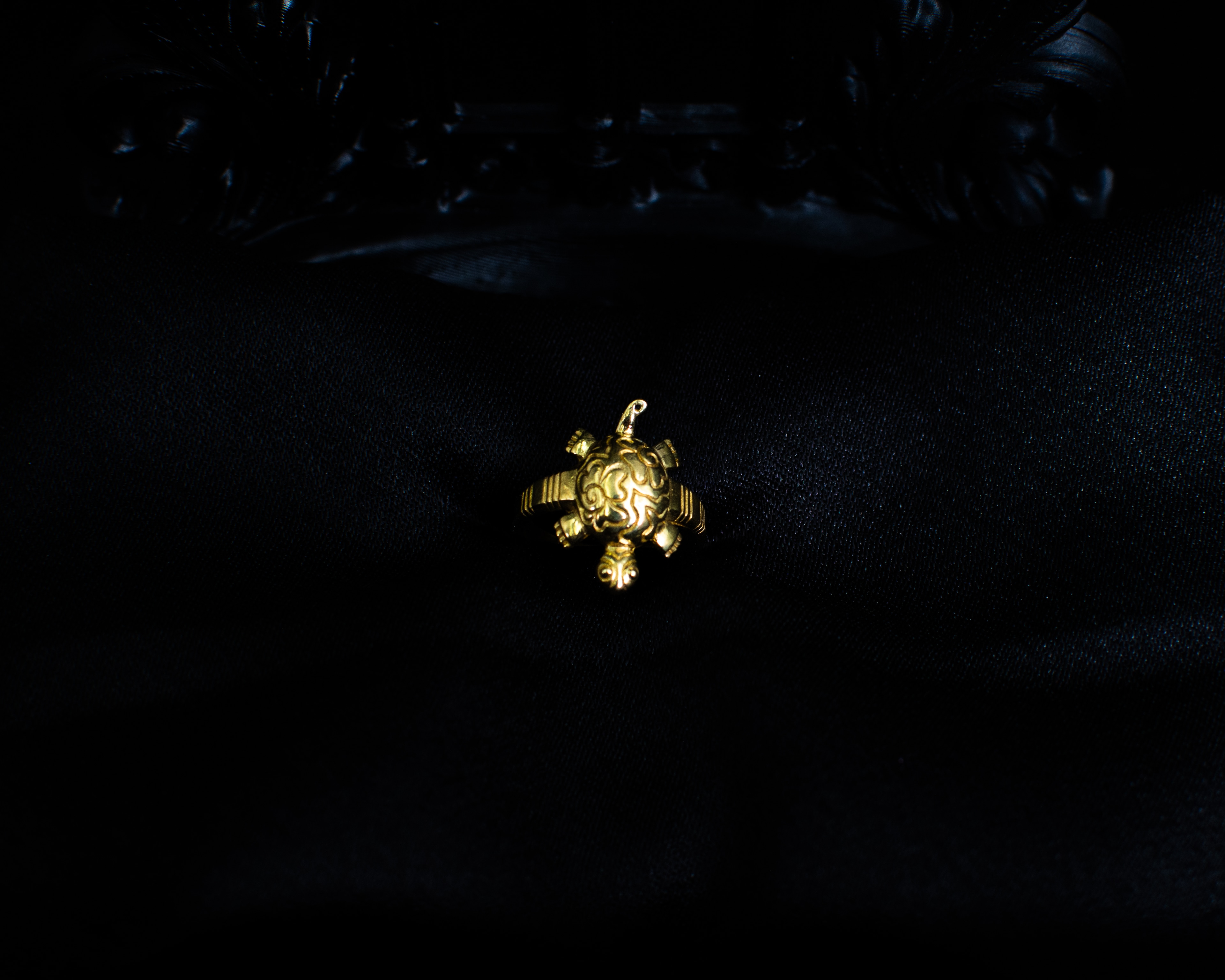Turtle Ring P front view on black display