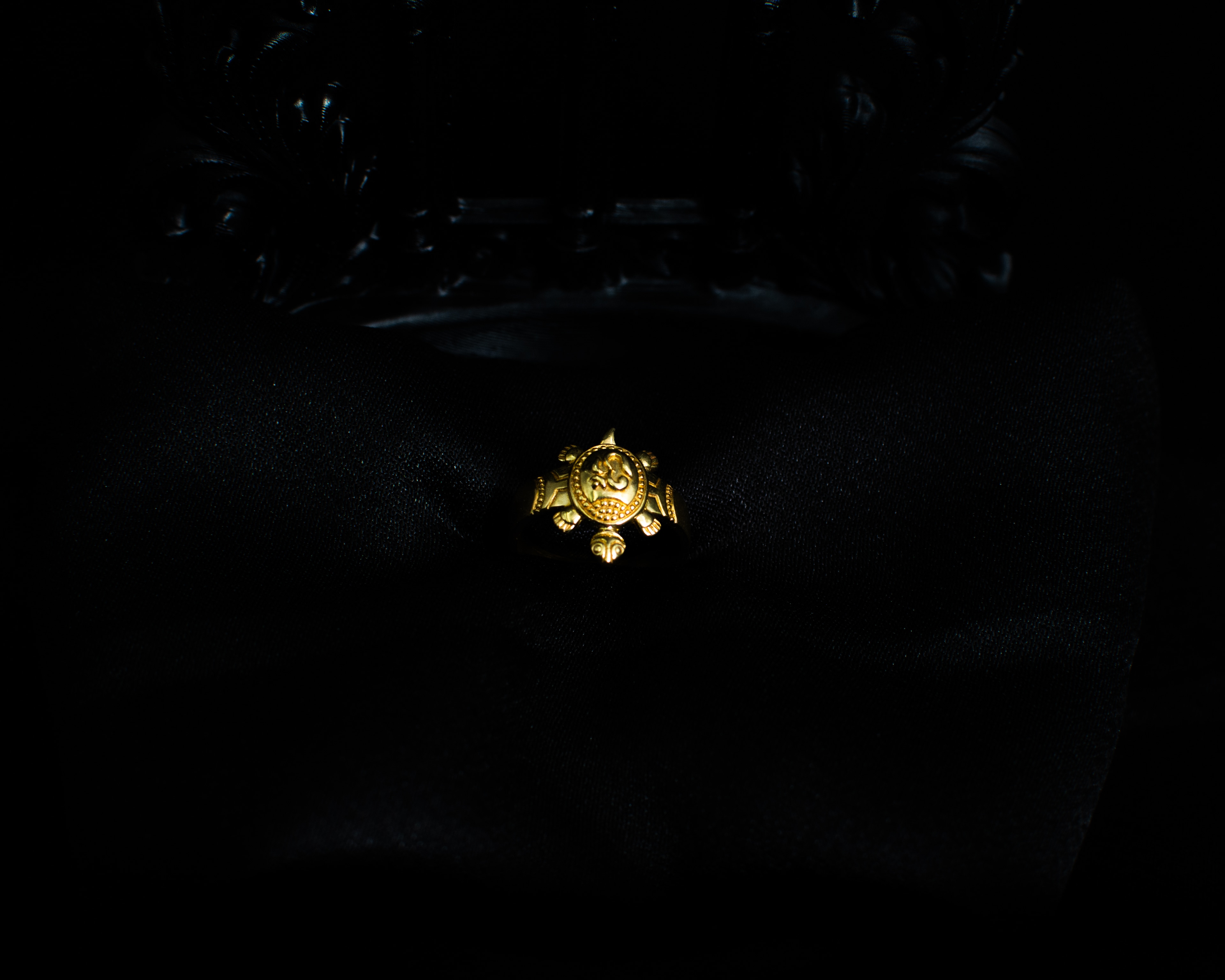 Turtle Ring P 1 angled view on black display