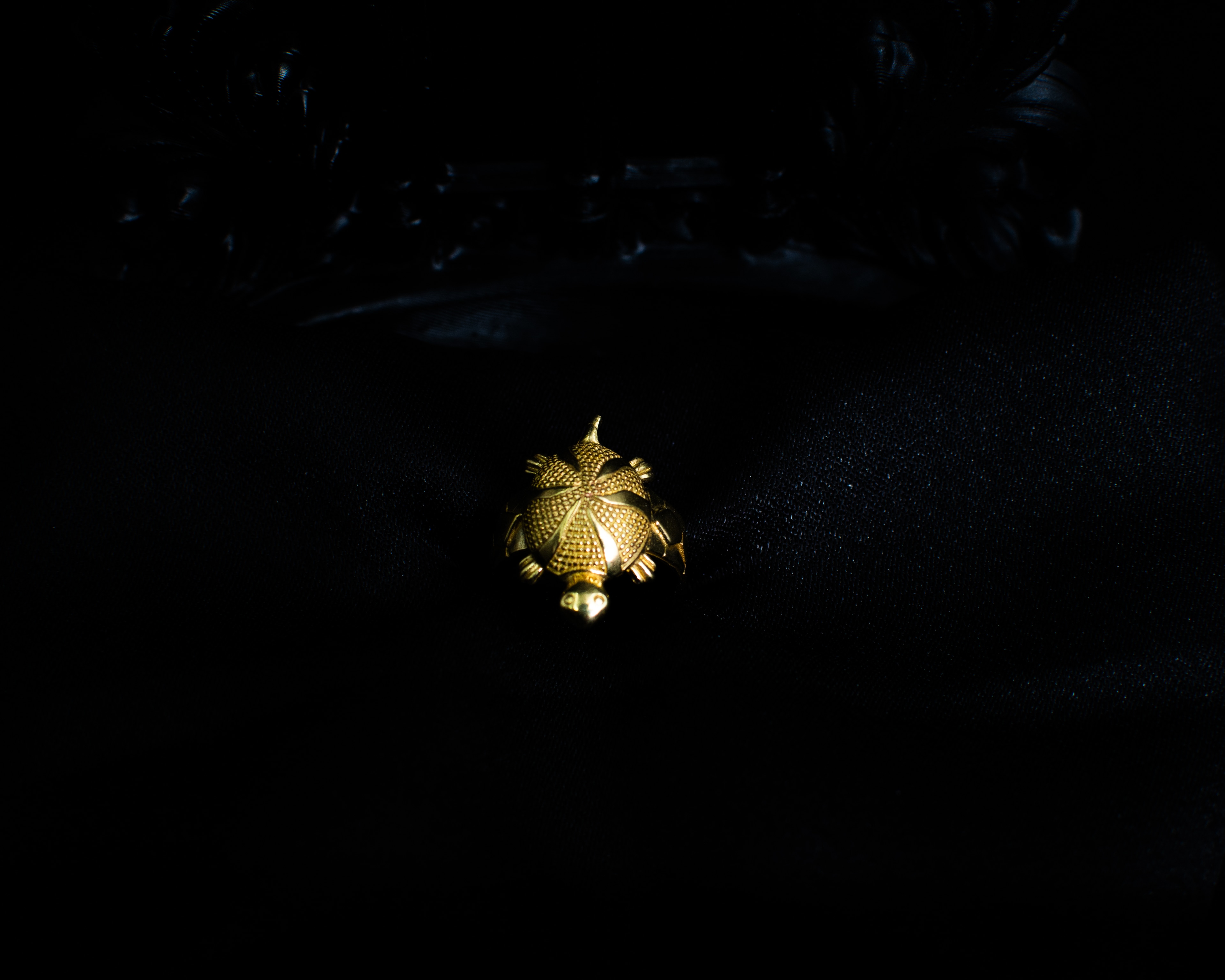 Turtle Ring P 2 angled view on black display